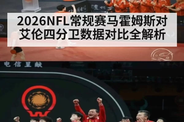 2026NFL常规赛马霍姆斯对艾伦四分卫数据对比全解析