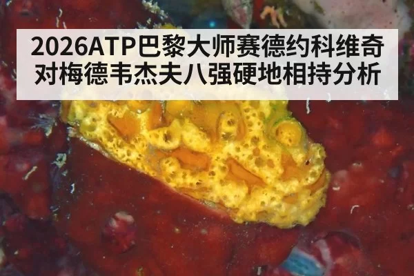 2026ATP巴黎大师赛德约科维奇对梅德韦杰夫八强硬地相持分析